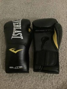 Everlast boxing gloves